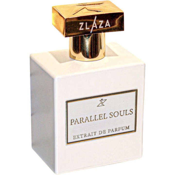 Parallel Souls
