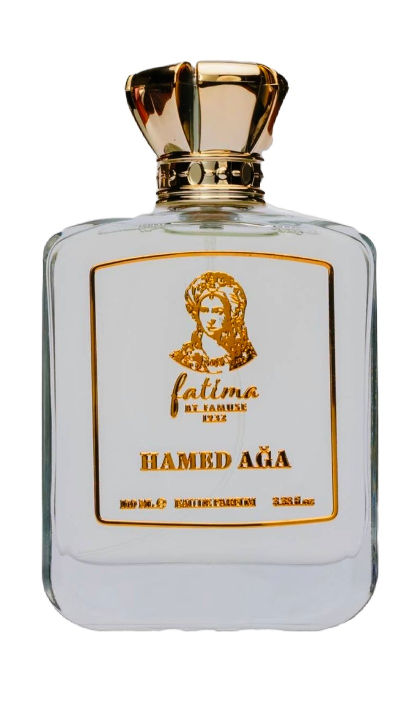 Hamed Aga
