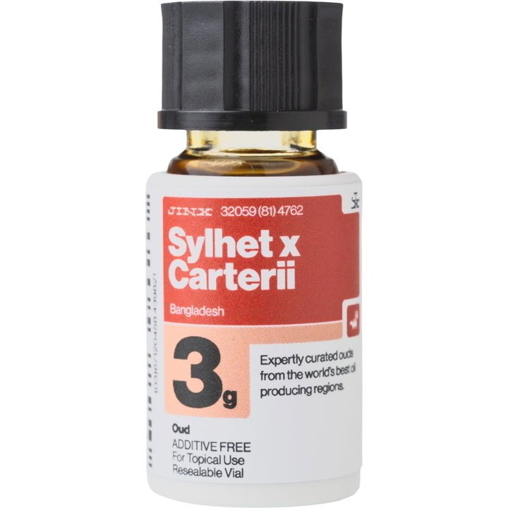 Sylhet x Carterii