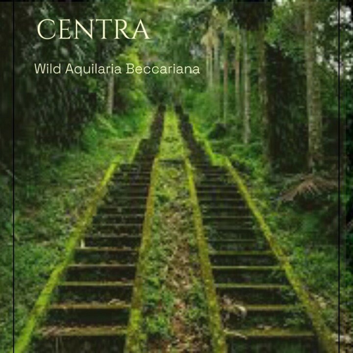 Centra