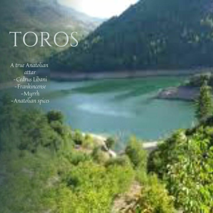 Toros