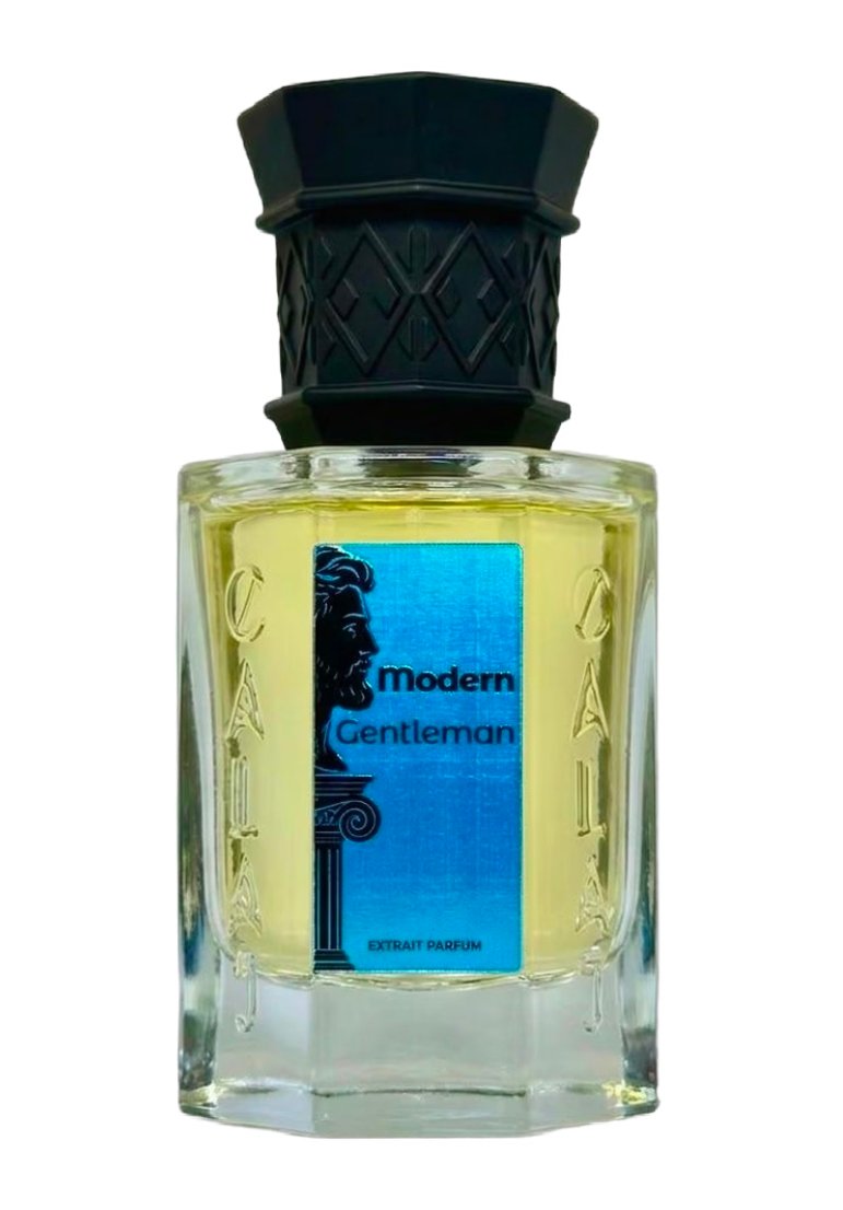 Modern Gentleman