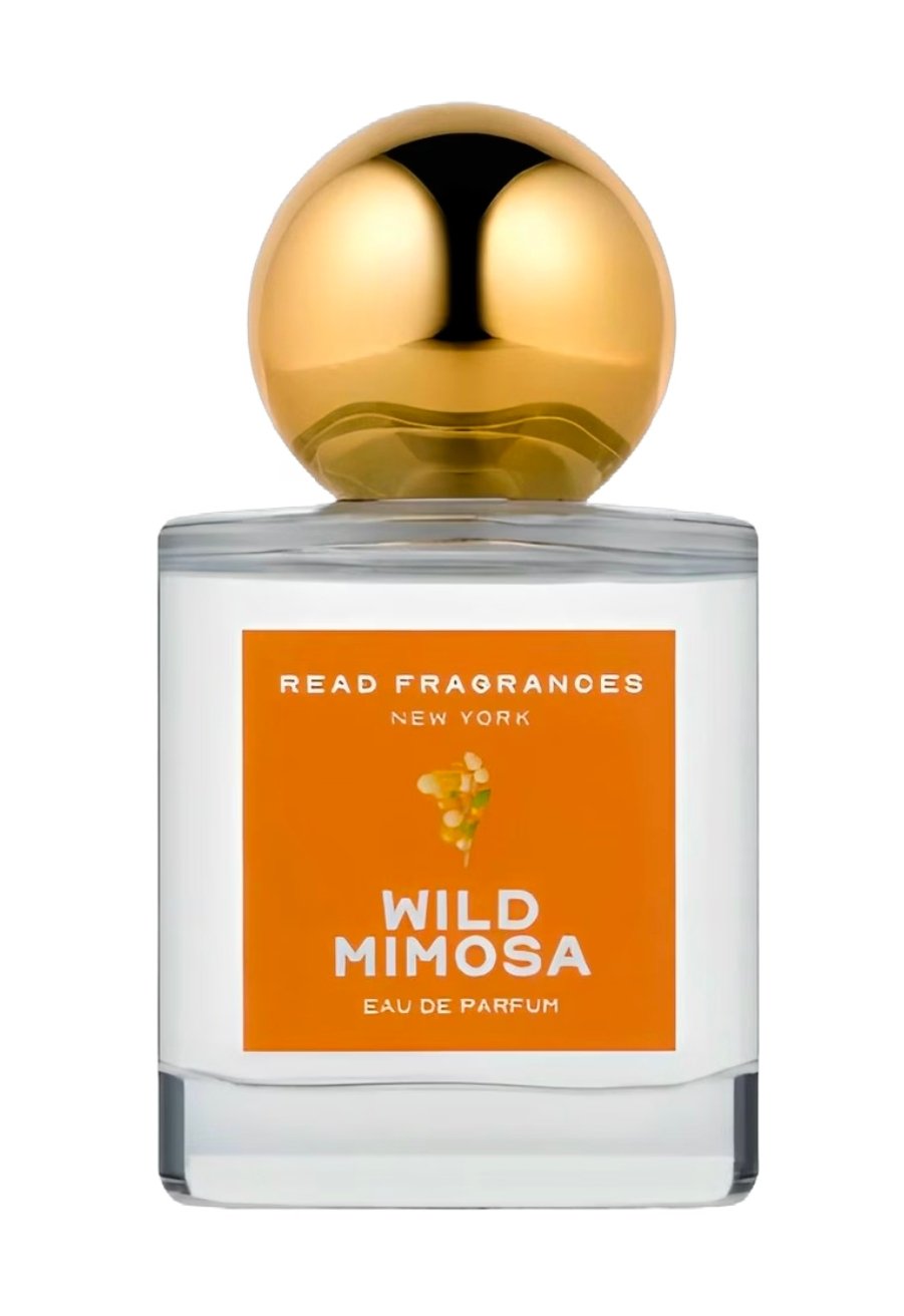 Wild Mimosa