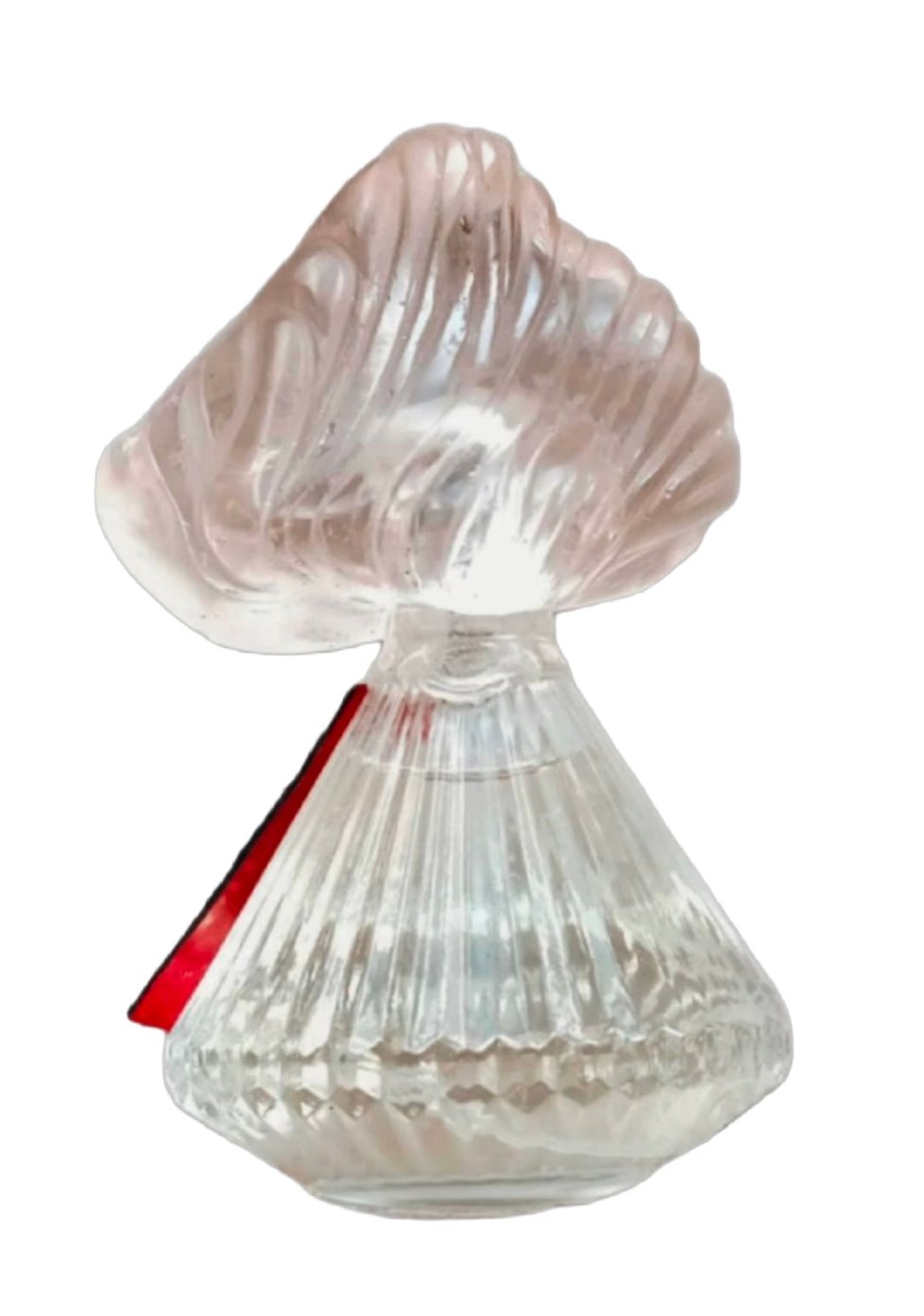Shells & Wine