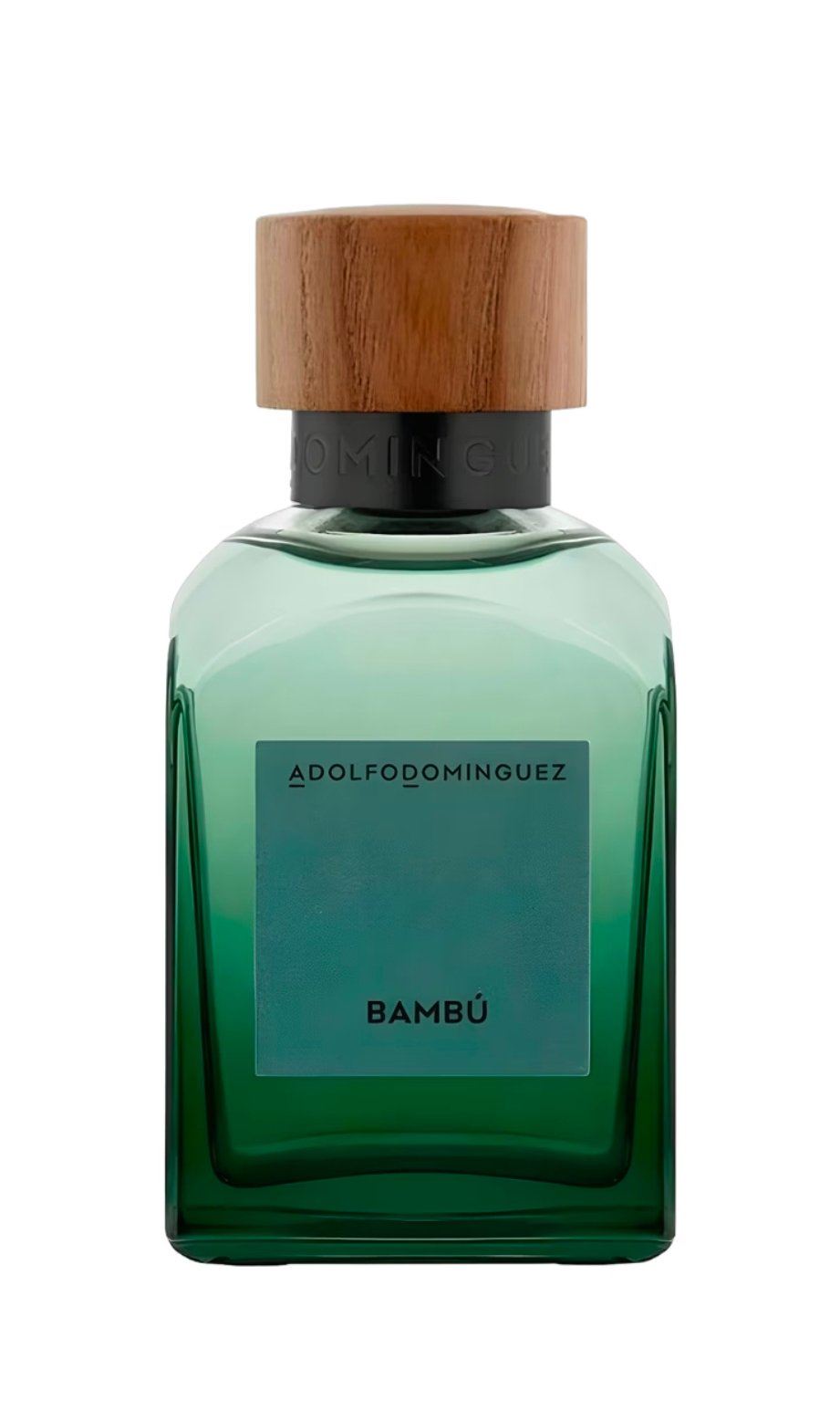 Bambú (2024)