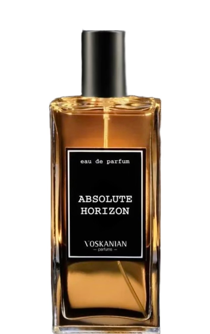 Absolute Horizon