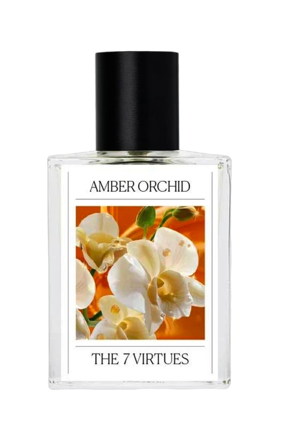 Amber Orchid