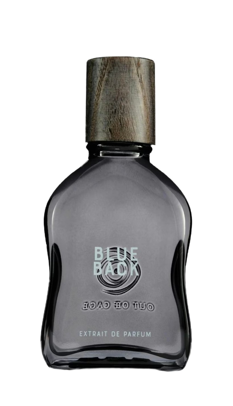 Blue Back