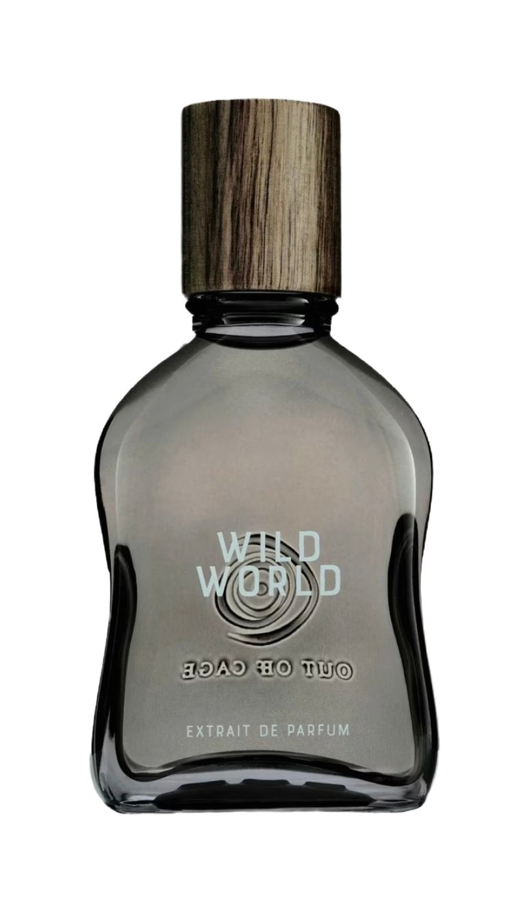 Wild World