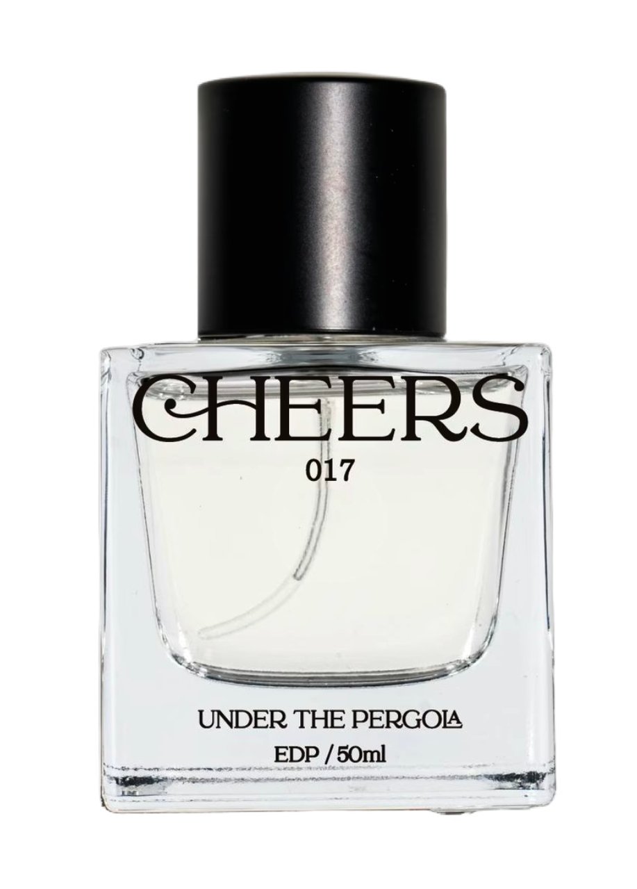 Cheers 017