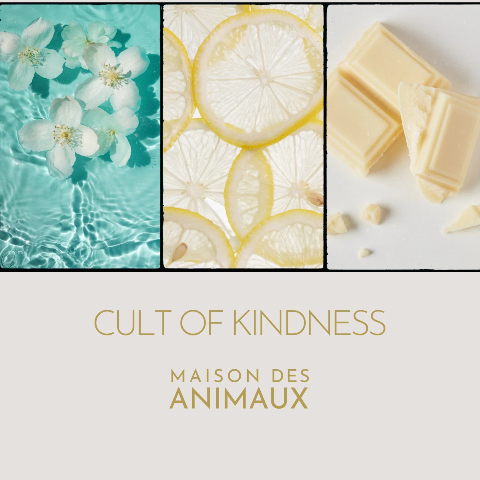 Cult of Kindness