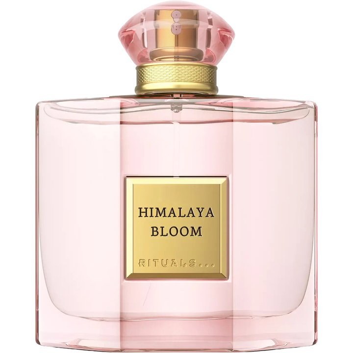 Himalaya Bloom
