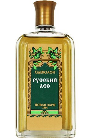 Russian Forest / Русский лес