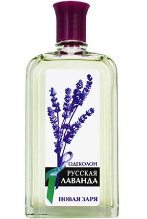 Russian Lavender / ру́сская лава́нда