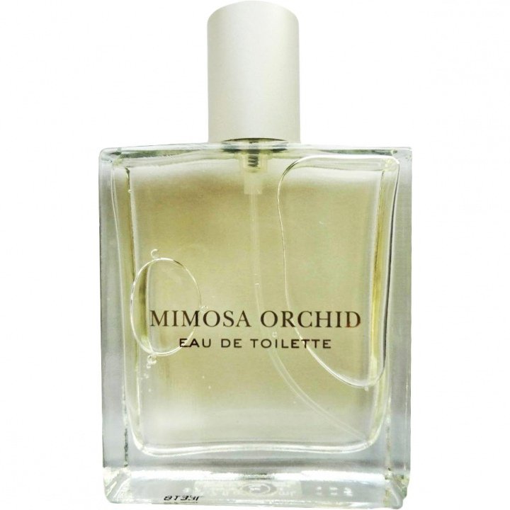 Mimosa Orchid