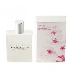 White Cherry Blossom