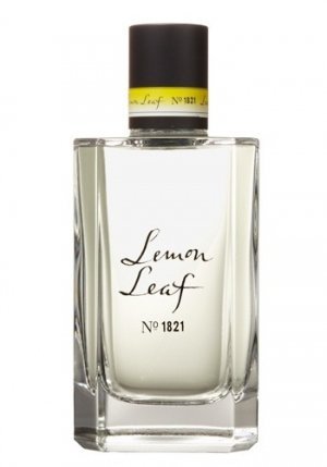 Lemon Leaf No. 1821