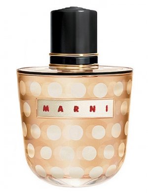 Marni Spice