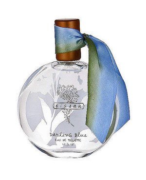 Oiseau Darling Blue
