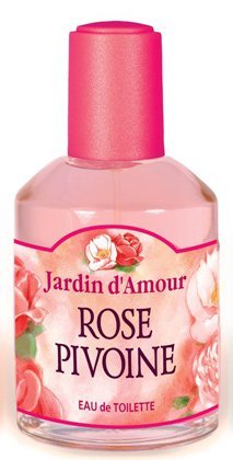 Rose Pivoine