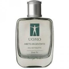 Abete Argentato
