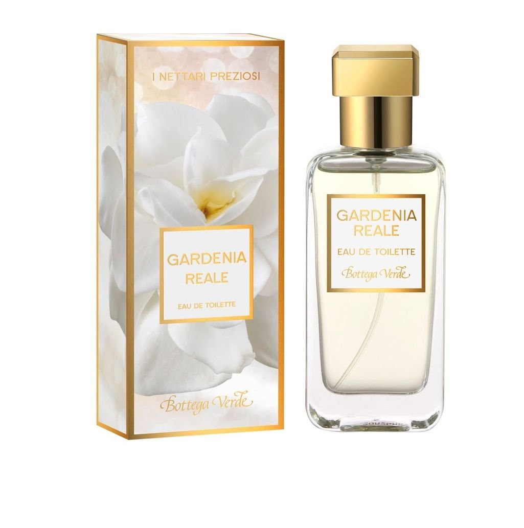 Gardenia Reale