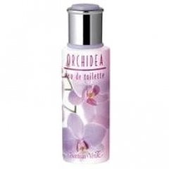 Orchidea
