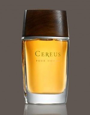 Pour Homme No. 11