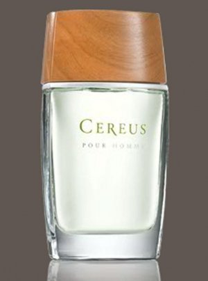 Pour Homme No. 5 / No. 6