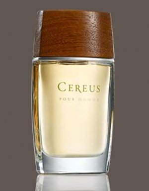 Pour Homme No. 7