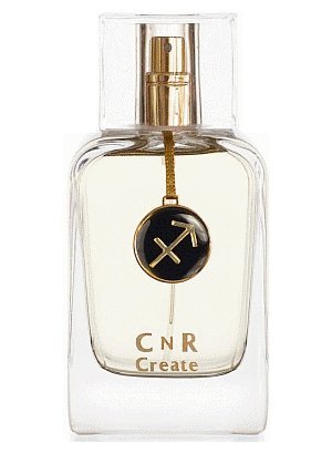 Sagittarius for Men