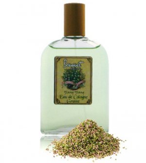 Bouquet de Grasse: Ylang Ylang