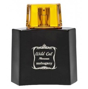 Wild Cat