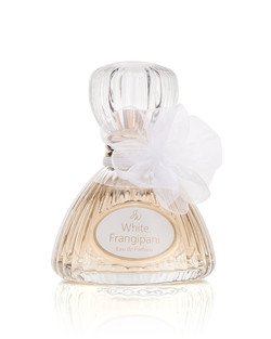 White Frangipani