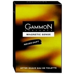 Magnetic Sense