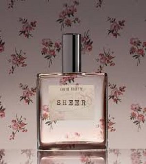 Aerie Sheer