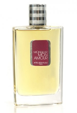 Monsieur mon Amour