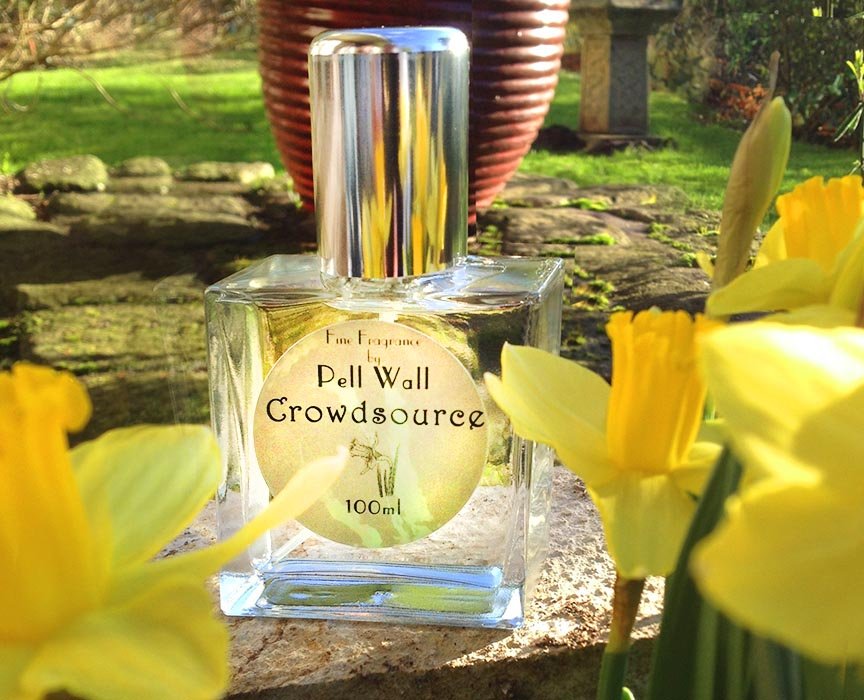 Spring Flowers Collection: Crowdsource