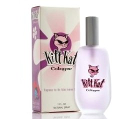 Kitt Kat