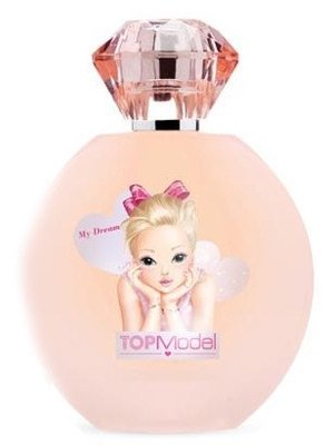 TOPModel: My Dream