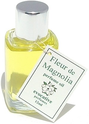 Fleur de Magnolia