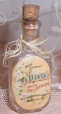 Nina White Heliotrope