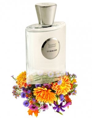 Tuberose
