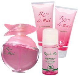 Rose de Mai