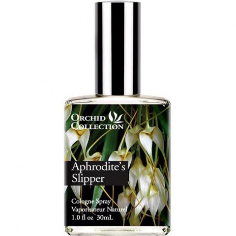Orchid Collection: Aphrodite's Slipper
