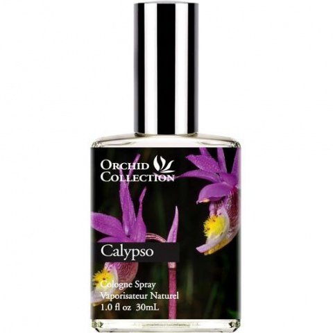 Orchid Collection: Calypso
