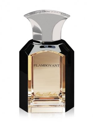 Oud Amber