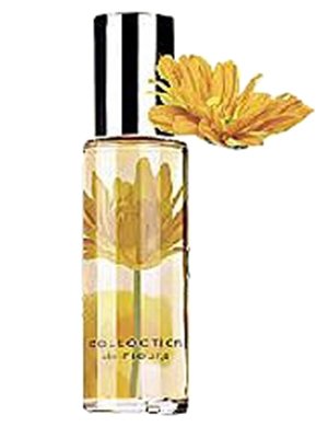 Collection de Fleurs: Joyful Bliss