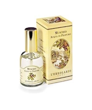 Muschio