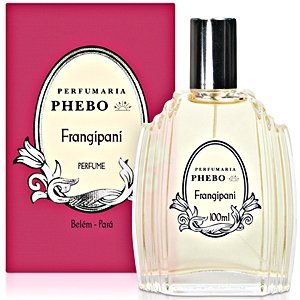 Frangipani